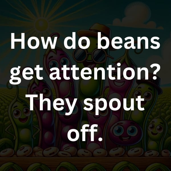 How do beans get attention_ They spout off