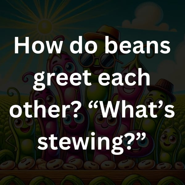 How do beans greet each other_ “What’s stewing_”