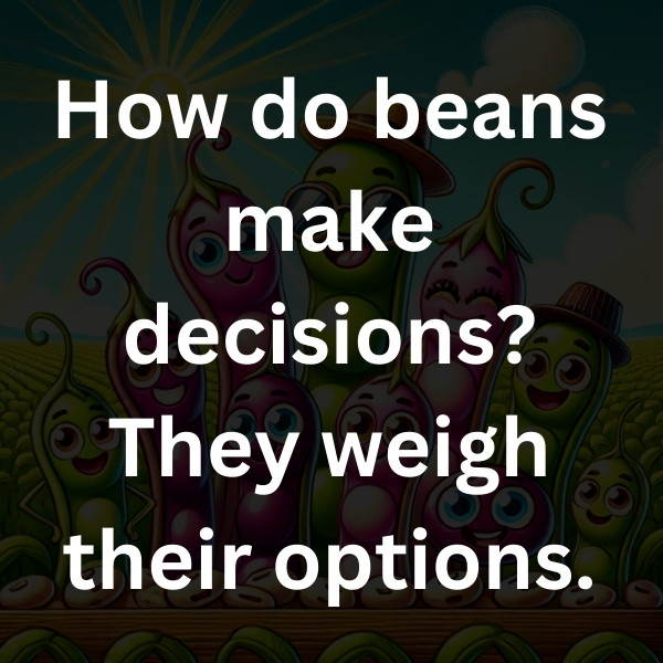How do beans make decisions_ They weigh their options