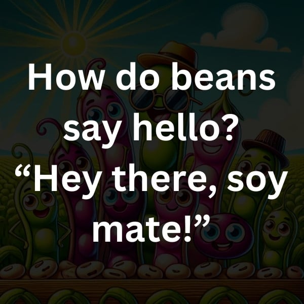 How do beans say hello_ “Hey there, soy mate!”