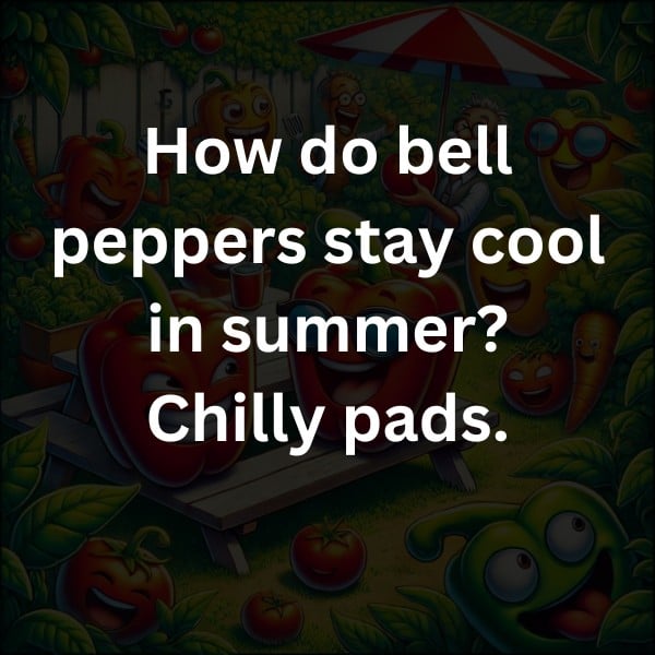 How do bell peppers stay cool in summer? Chilly pads.