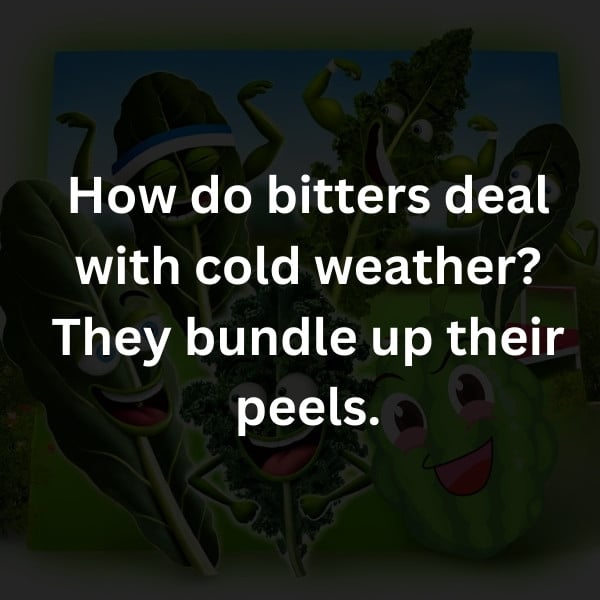 How do bitters deal with cold weather? They bundle up their peels.