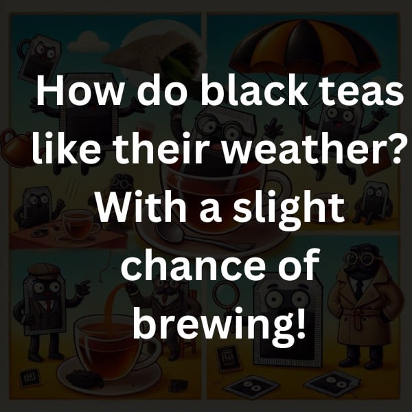 How do black teas like their weather? With a slight chance of brewing!
