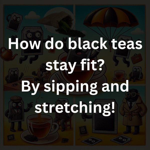 How do black teas stay fit? By sipping and stretching!