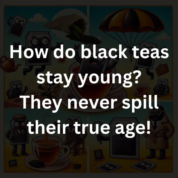 How do black teas stay young? They never spill their true age!