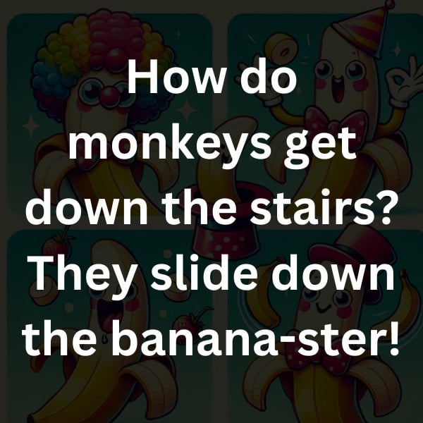 How do monkeys get down the stairs? They slide down the banana-ster!