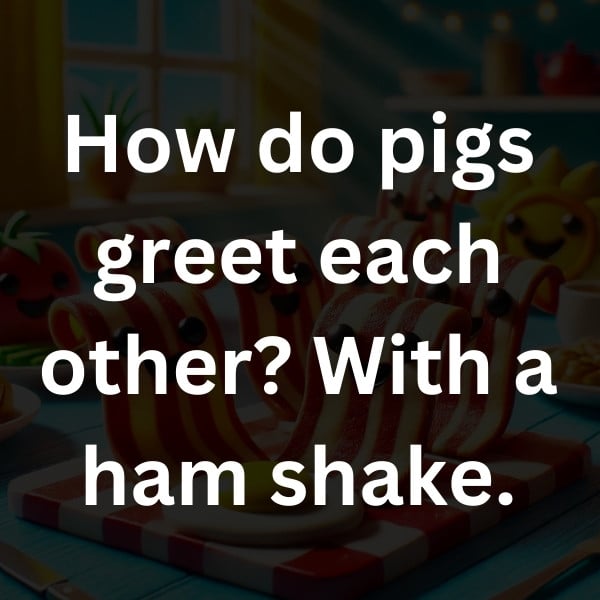How do pigs greet each other_ With a ham shake