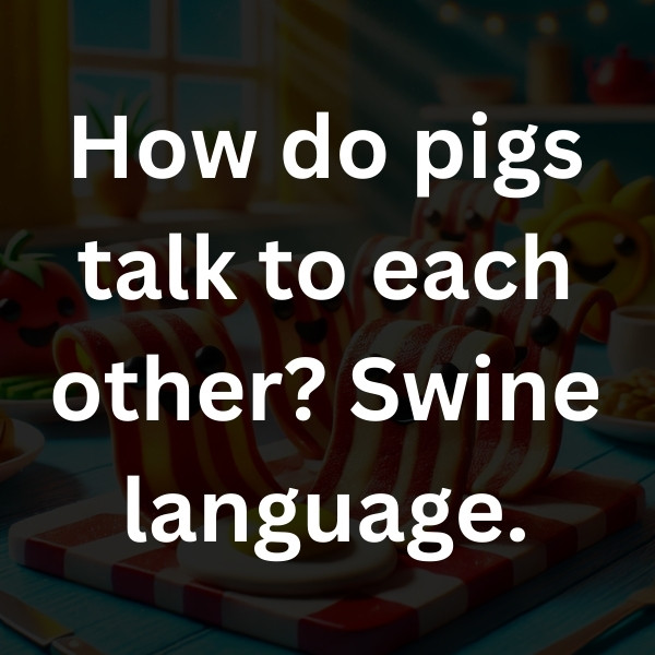How do pigs talk to each other_ Swine language