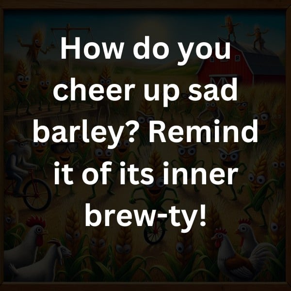 How do you cheer up sad barley? Remind it of its inner brew-ty!