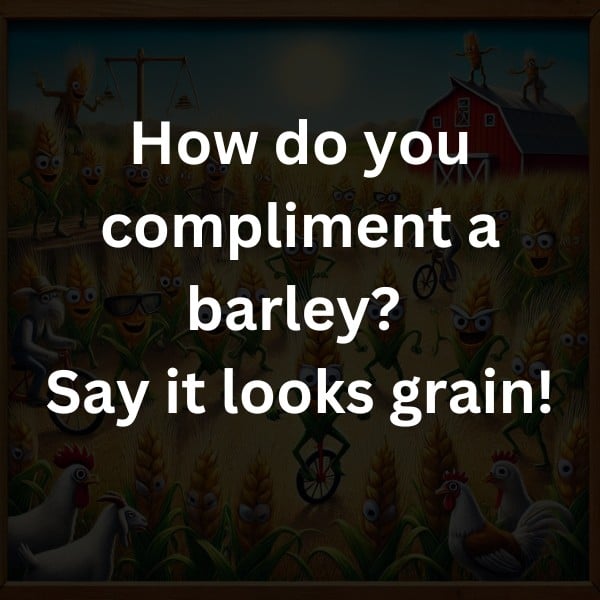 How do you compliment a barley? Say it looks grain!