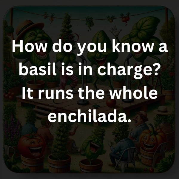 How do you know a basil is in charge? It runs the whole enchilada.