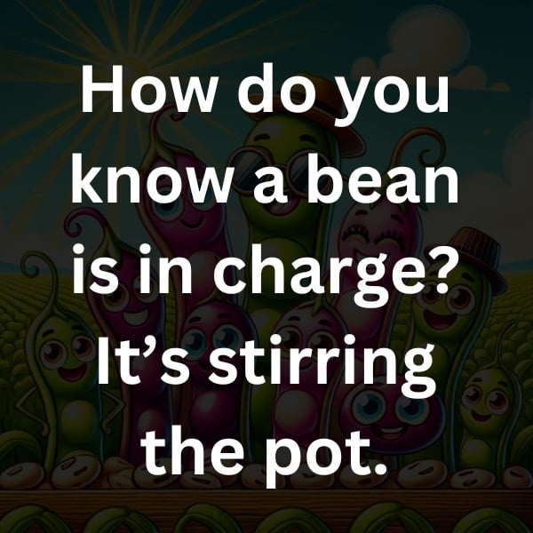 How do you know a bean is in charge It’s stirring the pot.