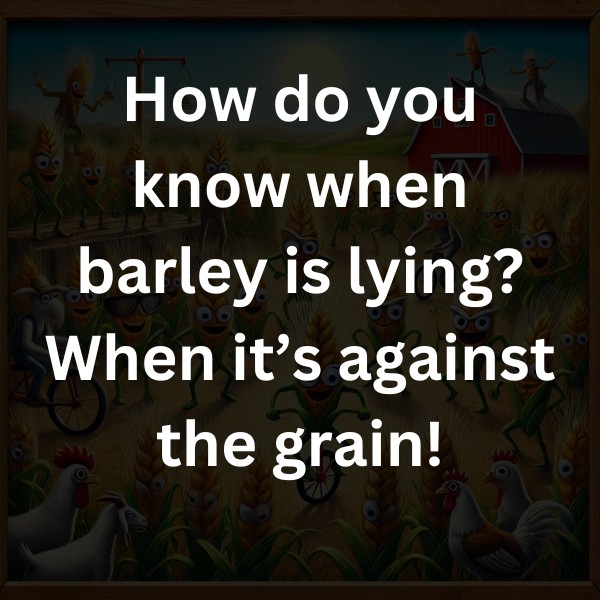 How do you know when barley is lying? When it’s against the grain!