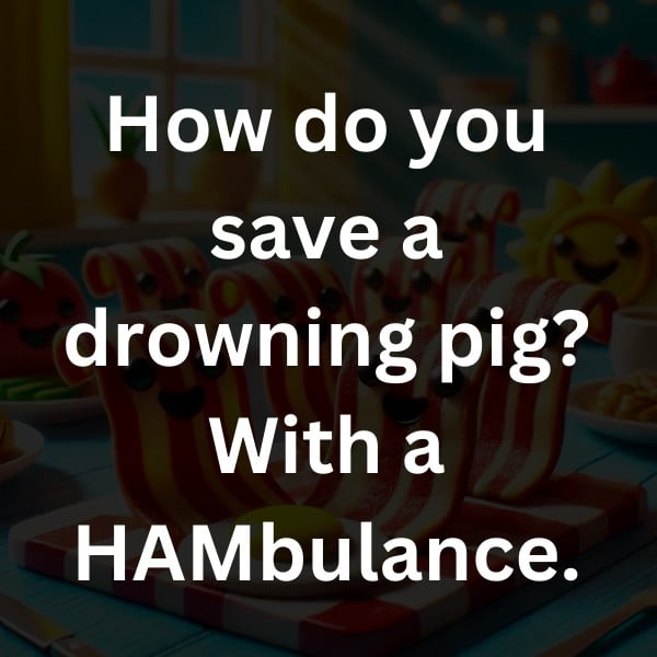 How do you save a drowning pig_ With a HAMbulance