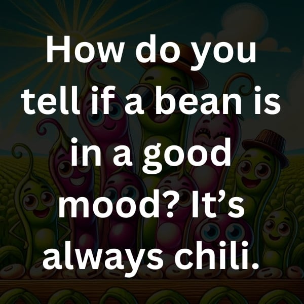 How do you tell if a bean is in a good mood_ It’s always chili