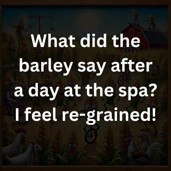 What did the barley say after a day at the spa? I feel re-grained!