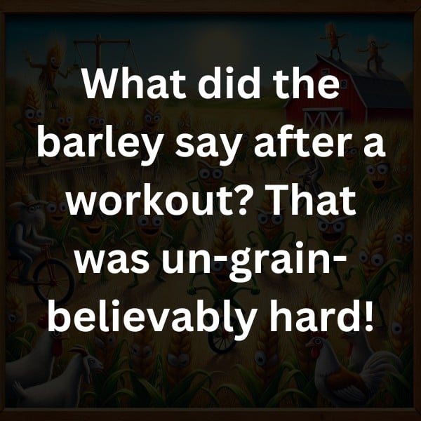 What did the barley say after a workout? That was un-grain-believably hard!