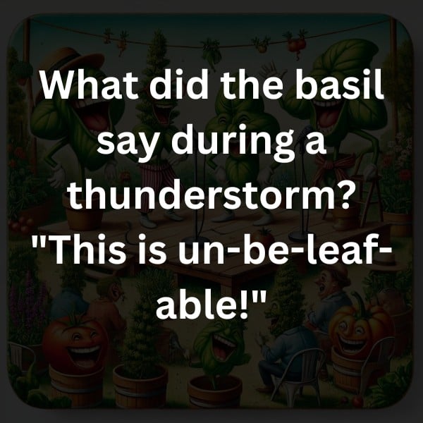 What did the basil say during a thunderstorm? "This is un-be-leaf-able!"