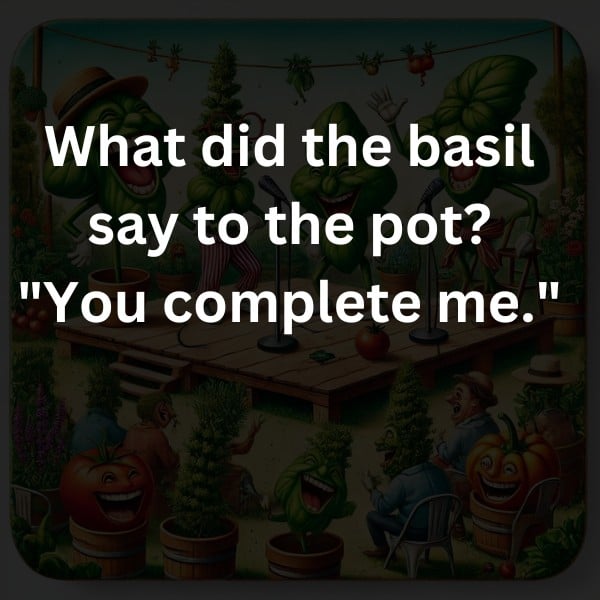 What did the basil say to the pot? "You complete me."