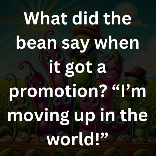What did the bean say when it got a promotion_ “I’m moving up in the world!”