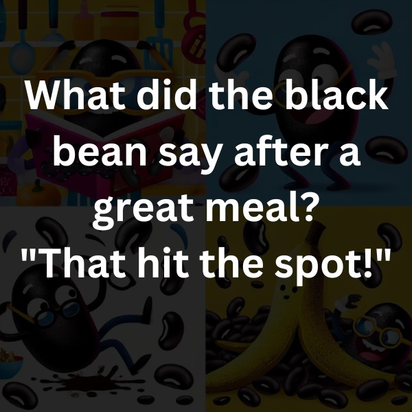 What did the black bean say after a great meal? "That hit the spot!"