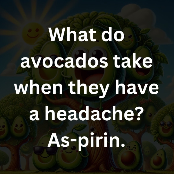 What do avocados take when they have a headache_ As-pirin