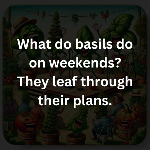 What do basils do on weekends? They leaf through their plans.