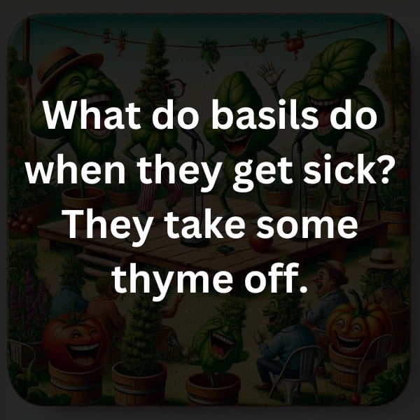 What do basils do when they get sick? They take some thyme off.