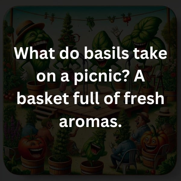 What do basils take on a picnic? A basket full of fresh aromas.