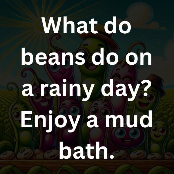 What do beans do on a rainy day_ Enjoy a mud bath