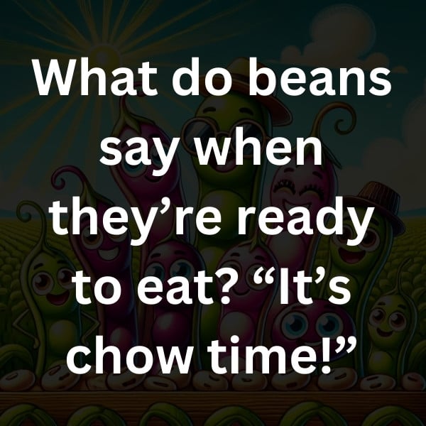 What do beans say when they’re ready to eat_ “It’s chow time!”