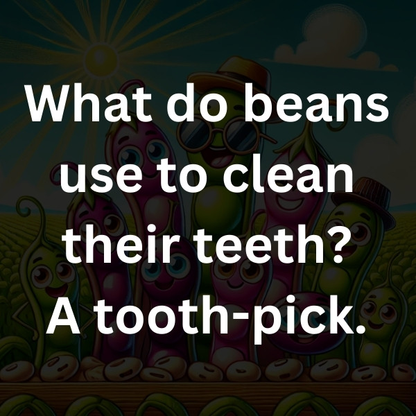 What do beans use to clean their teeth_ A tooth-pick