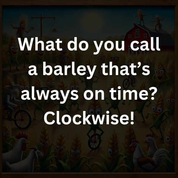 What do you call a barley that’s always on time? Clockwise!