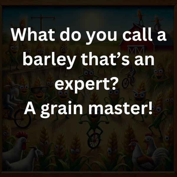 What do you call a barley that’s an expert? A grain master!
