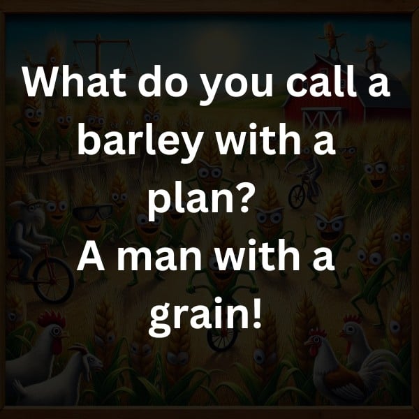 What do you call a barley with a plan? A man with a grain!