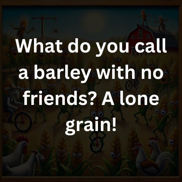 What do you call a barley with no friends? A lone grain!