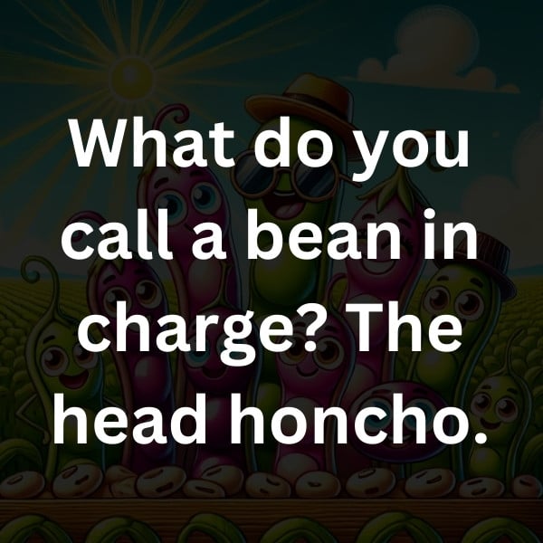 What do you call a bean in charge_ The head honcho
