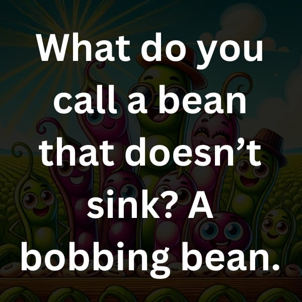 What do you call a bean that doesn’t sink_ A bobbing bean