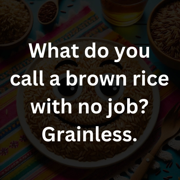 What do you call a brown rice with no job_ Grainless