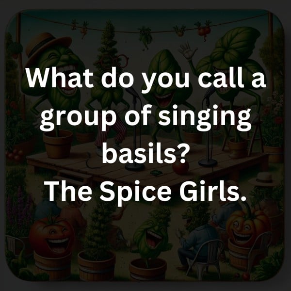 What do you call a group of singing basils? The Spice Girls.