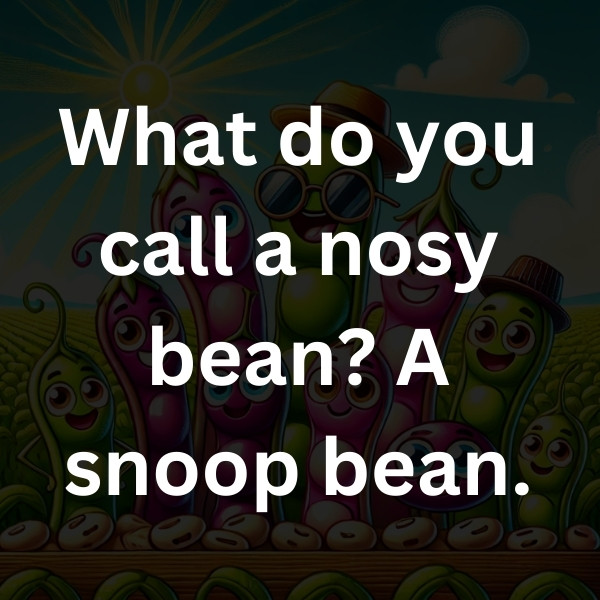 What do you call a nosy bean_ A snoop bean