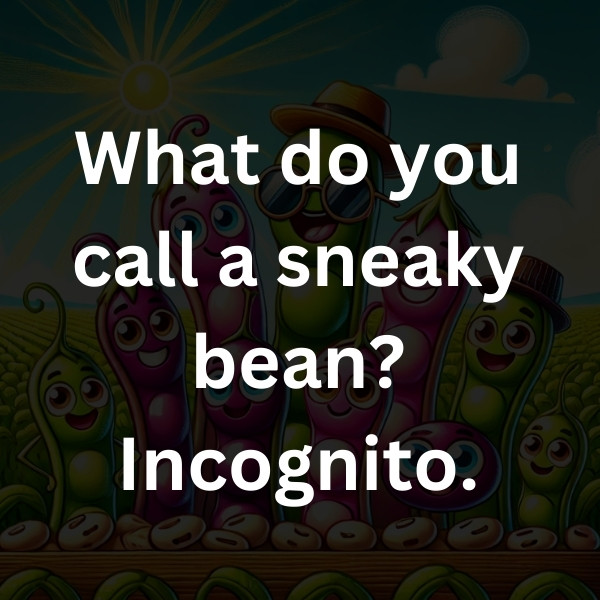 What do you call a sneaky bean_ Incognito