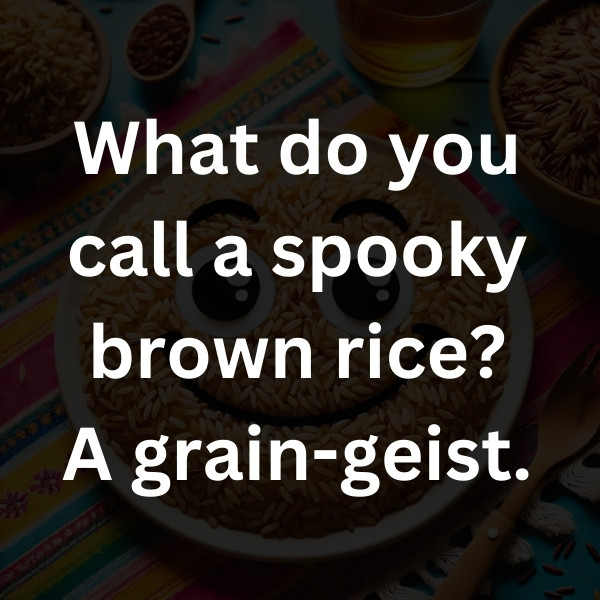 What do you call a spooky brown rice_ A grain-geist
