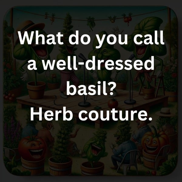 What do you call a well-dressed basil? Herb couture.