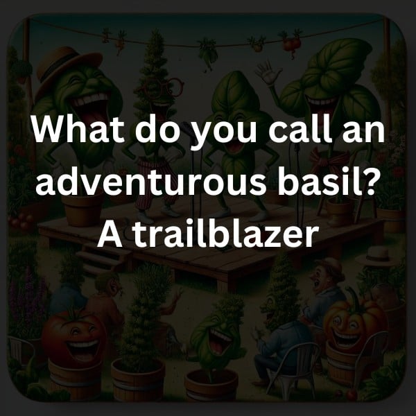 What do you call an adventurous basil? A trailblazer