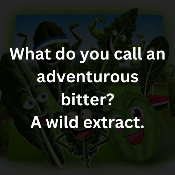 What do you call an adventurous bitter? A wild extract.