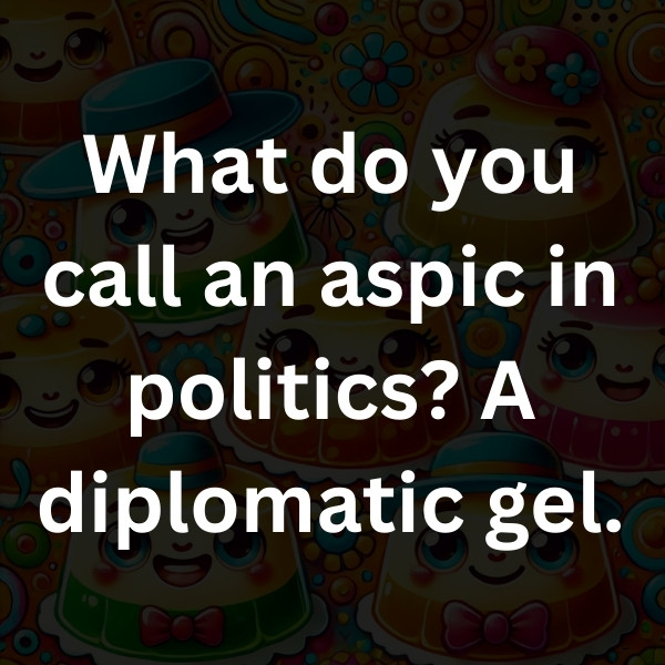 What do you call an aspic in politics_ A diplomatic gel