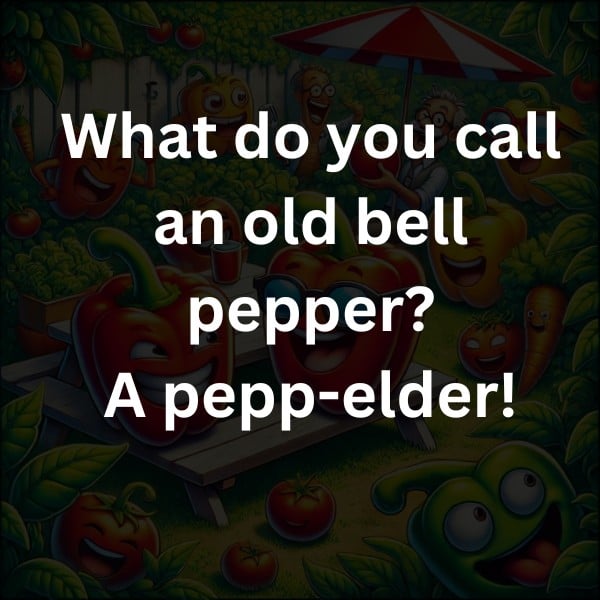 What do you call an old bell pepper? A pepp-elder!