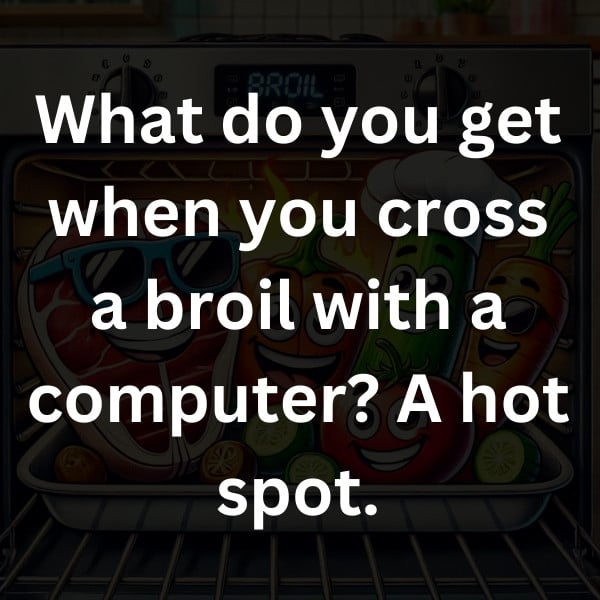 What do you get when you cross a broil with a computer_ A hot spot