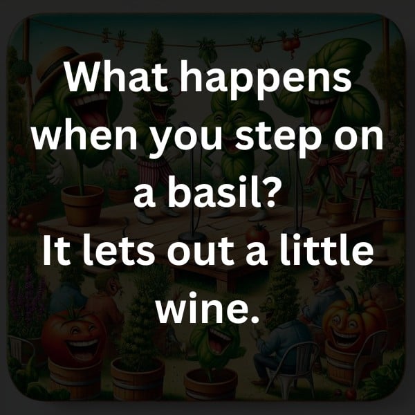 What happens when you step on a basil? It lets out a little wine.